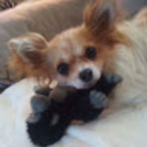 Meet your Posher, Christine